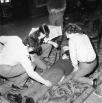 'Collapse' Is Intentional