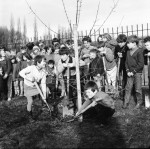 Tree Planting To Curb Vandalism
