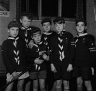 This Time It Was The Judges Who Got The Shaking