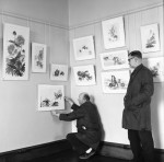 Towneley Stage Six Exhibitions In One