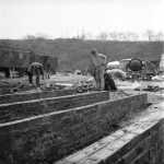 Welfare State Puts Down Its Roots