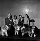 Mischievous Quartet - But Lesley Has Them Well In Hand