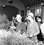 WI Spring Fair