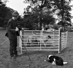 Trials, Sheep Show and Fell Race Record