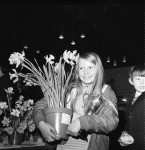 Triumph For The Young