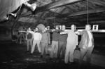 Bowmen Outshoot Riflemen